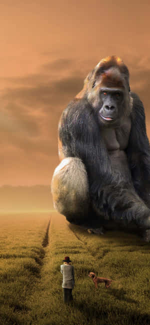 Iphone Xs Max Gorilla Background — Honor X9e Pro Picha ya Ukuta