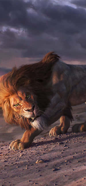 Lion background — Galaxy F56 Picha ya Ukuta