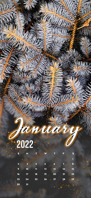Januari 2022 mti wa pine mweupe wallpaper — iPhone 16 Picha ya Ukuta