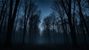 Silhouette ya msitu mweusi wakati wa jioni na ukungu na nyota. — Nyeusi aesthetic Picha ya Ukuta