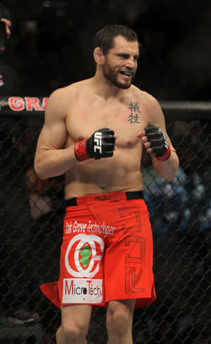 Jon Fitch Anasimama Octagon UFC 141 — Xiaomi Pad Mini Picha ya Ukuta