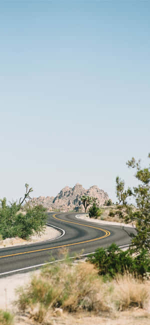 Joshua Tree Pictures — Realme Narzo 90X Picha ya Ukuta