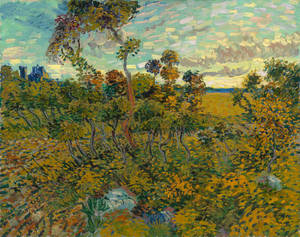Jua Linalotua Montmajour Makumbusho ya Van Gogh