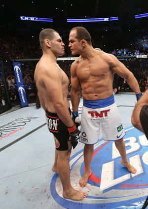 Junior Dos Santos UFC On Fox 1 — Vivo Pad5e Picha ya Ukuta