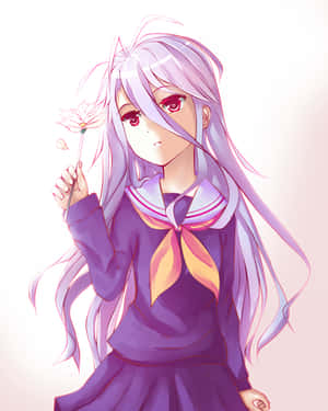 Mandhari ya No Game No Life — No Game No Life Picha ya Ukuta