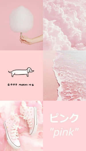 Picha za waridi za kupendeza — Pastel pink aesthetic Picha ya Ukuta