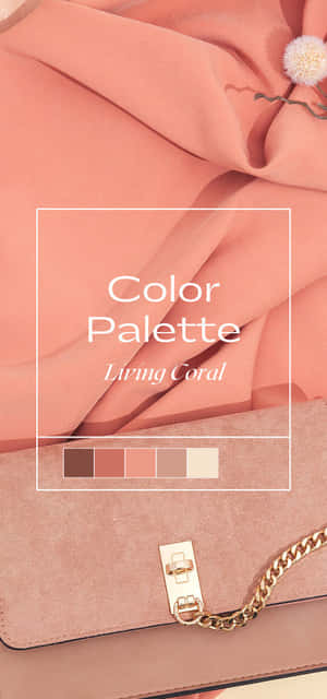Peach Color Background — Vivo T5x Picha ya Ukuta