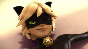 Picha za Cat Noir