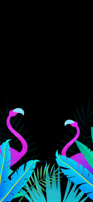 Mandharinyuma ya Pixel 3xl Amoled
