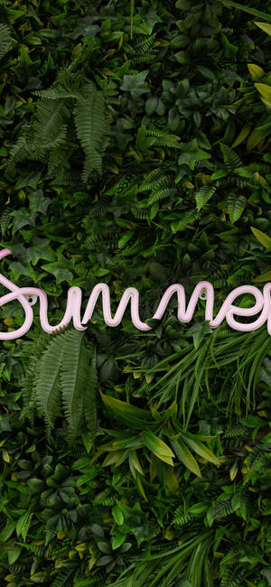 Summer Iphone Light On Greens — iPhone 16e Picha ya Ukuta