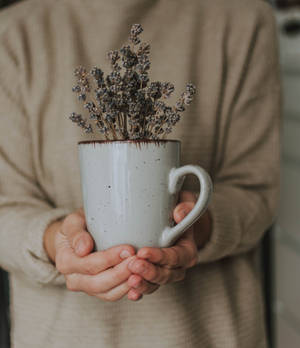 Mug with dried lavender flowers held by hands wallpaper — Galaxy Z Fold Picha ya Ukuta
