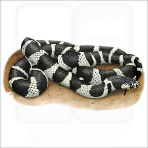 King Snake Picha — iPad (A16) Picha ya Ukuta