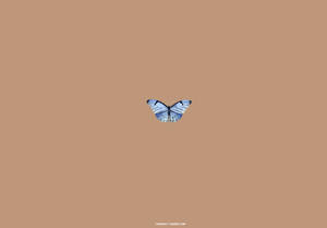 Kipepeo wa bluu wa urembo wa beige na brown wallpaper — Kipepeo aesthetic GIF Picha ya Ukuta