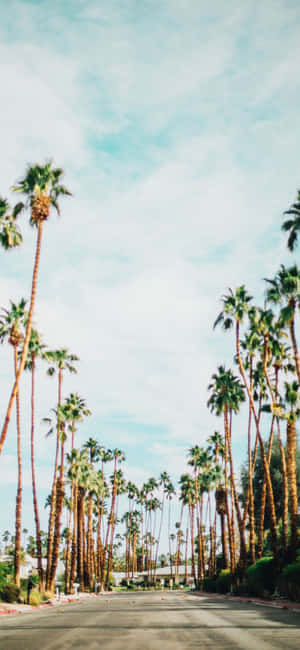 Iphone Xs California Background — Vivo T4 Picha ya Ukuta