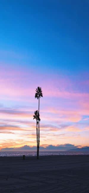 Iphone X California Background — Vivo S50 Picha ya Ukuta