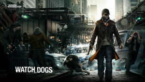 Mazingira ya Sleeping Dogs — Kucheza kwa ajili ya kuwa na dogo Picha ya Ukuta