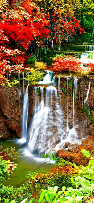 Iphone Xs Max Autumn Background — HMD Aura 2 Picha ya Ukuta