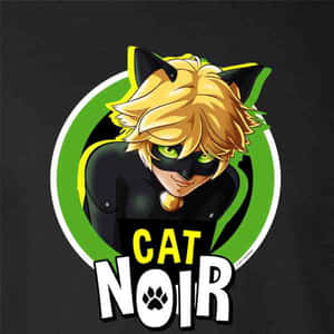 Picha za Cat Noir — Paka katuni Picha ya Ukuta