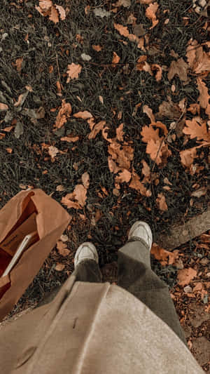 Picha za Aesthetic Brown — Aesthetic brown Picha ya Ukuta