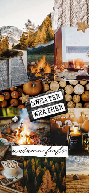 Autumn Collage — iPhone 13 Pro Picha ya Ukuta