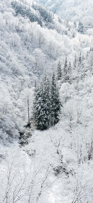 Snow Iphone — iPhone 18 Pro Picha ya Ukuta
