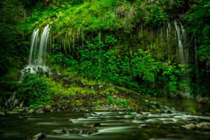Green Nature background — MacBook Air M3 Picha ya Ukuta