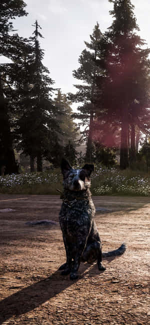 Iphone Xs Max Far Cry 5 Background — POCO C81 Picha ya Ukuta
