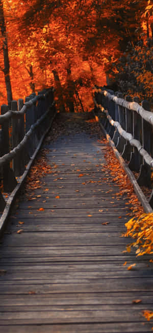 Iphone Xs Max Autumn Background — OnePlus Ace Picha ya Ukuta