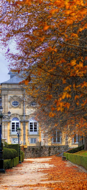 Iphone Xs Max Autumn Background — POCO C85x Picha ya Ukuta