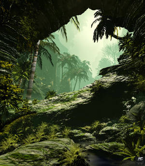 Miti ya kamba yenye ukungu wallpaper ya msitu. — Galaxy Z Fold Picha ya Ukuta