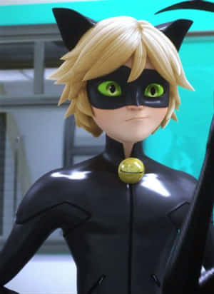 Picha za Cat Noir
