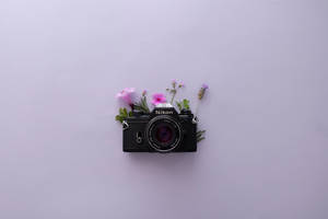 Lavender Aesthetic Na Kamera ya Nikon