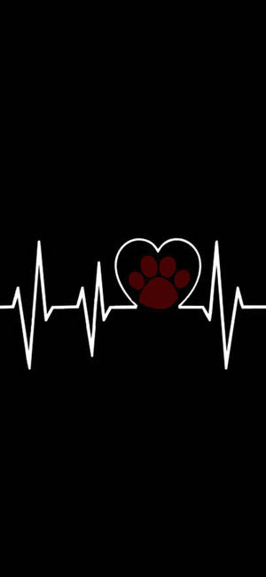 Lifeline Paw Print wallpaper — iPhone 18 Pro Picha ya Ukuta