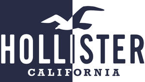 Picha ya Logo ya Hollister Yenye Rangi Mbili — Rahisi Picha ya Ukuta