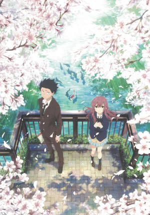 A Silent Voice couple sakura pond wallpaper — OnePlus Pad 3 Pro Picha ya Ukuta