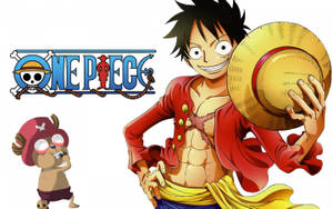 Luffy wa One Piece Akifunga Kofia — Luffy Picha ya Ukuta