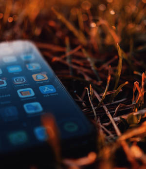 Iphone Xs On Dried Leaves Wallpaper — iPhone Xs Picha ya Ukuta