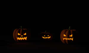 Nyuma ya Mabuyu ya Halloween — Sikukuu ya Wanyama Picha ya Ukuta