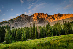 Mac background — MacBook Pro 14 Picha ya Ukuta