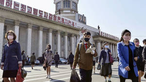 Pandemic Life - A Person Wearing a face Mask — Neutral Picha ya Ukuta