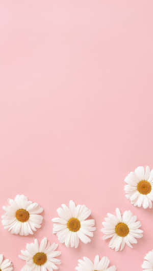 Mandhari ya Pink ya Pastel — Pastel pink aesthetic Picha ya Ukuta