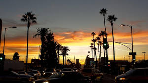 Jua la Los Angeles kwenye mandhari ya barabara — Sunset Boulevard Picha ya Ukuta