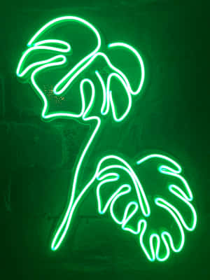Mandhari ya Kijani ya Neon Yenye Uhai
