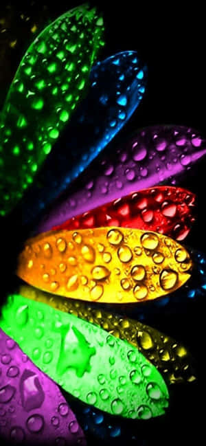 828x1792 — iPhone 13 Mini Picha ya Ukuta