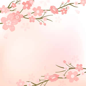 Mandhari ya Miti ya Sakura — Cherry blossom Picha ya Ukuta