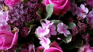Mandhari ya Miti ya Pinki — Pink Floral Picha ya Ukuta