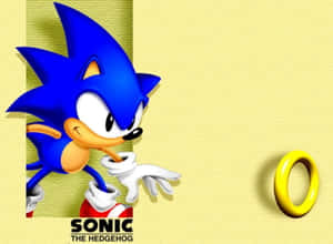 Mandhari ya Sonic — Sonic Picha ya Ukuta