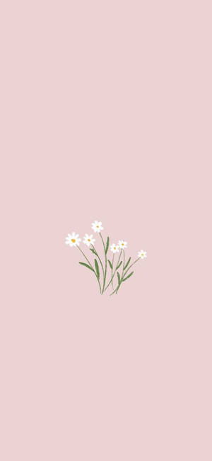 Spring Minimalist — Galaxy A Picha ya Ukuta