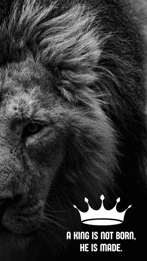 Simba,Mandhari ya Simba,Mandhari ya 420,Mfalme,Mandhari ya Mfalme,Mandhari ya Nukuu,Mandhari ya 2018,Mandhari ya Ujasiri,Picha za Ujasiri