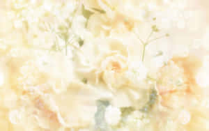 Mandharinyuma ya Rangi ya Njano Iliyofifia — Aesthetic ya Pastel Yellow Picha ya Ukuta